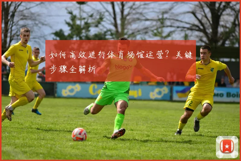 如何高效进行体育场馆运营？关键步骤全解析