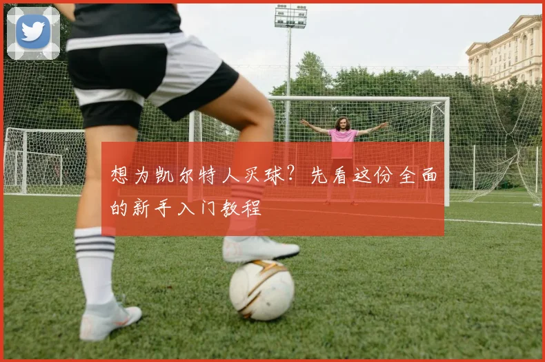 想为凯尔特人买球？先看这份全面的新手入门教程